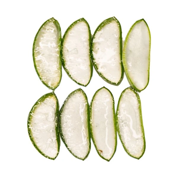 Aloe Vera – beruhigender Feuchtigkeitsspender aus der Natur.